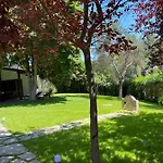 Diomedes * Sani (Chalkidiki)