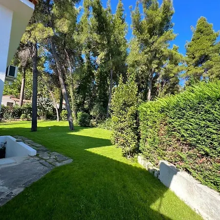 Villa Diomedes Száni-part