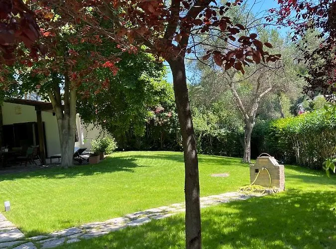 Diomedes * Sani (Chalkidiki)